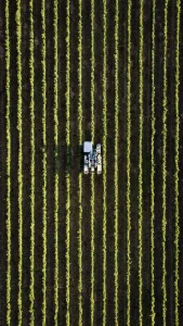 Agriculture&food