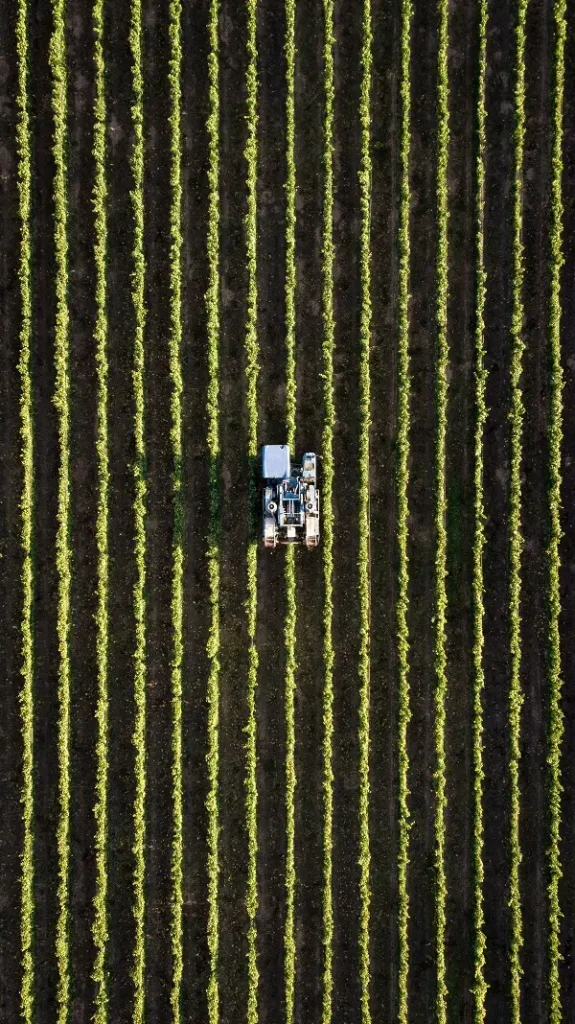 Agriculture&food